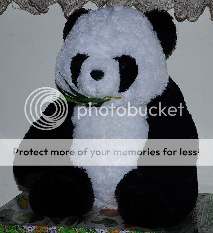WTS Boneka Panda dan Boneka Bantal cocok untuk kado valentine atau ulang tahun