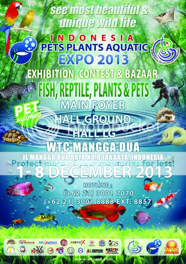 share-acara-indonesia-pets-plants-aquatic-expo-2013