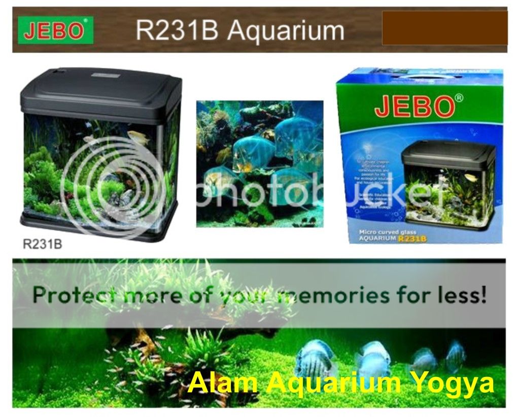 Peralatan Aquarium & Aquascape