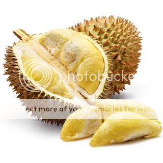 Manfaat Kulit Durian Yang Tidak Banyak Diketahui Orang Awam