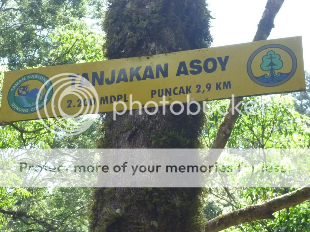 Pendakian Ketupat Gn. Ciremay 3078 Mdpl via Palutungan