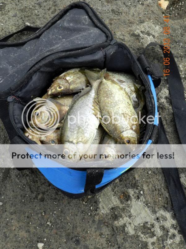 &#91;FR&#93;Kaskus Fishing Community REG SURABAYA goes to Pantai Utara Madura&#91;FR&#93;