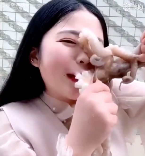 Pamer Aksi Makan Gurita Hidup-hidup, Perempuan Ini Alami Hal Mengerikan