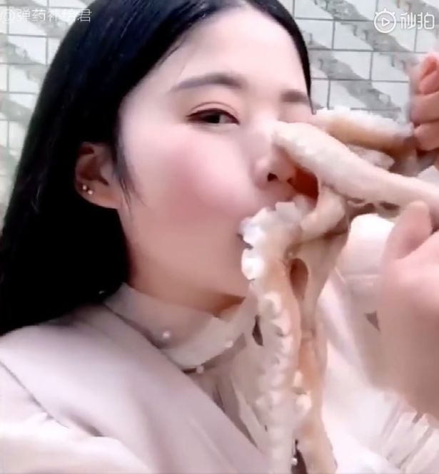 Pamer Aksi Makan Gurita Hidup-hidup, Perempuan Ini Alami Hal Mengerikan