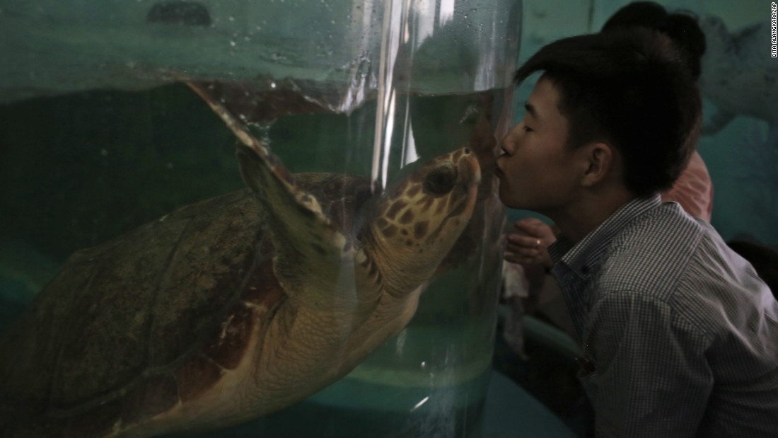 Melihat Lebih Dekat Kebun Binatang di Korea Utara