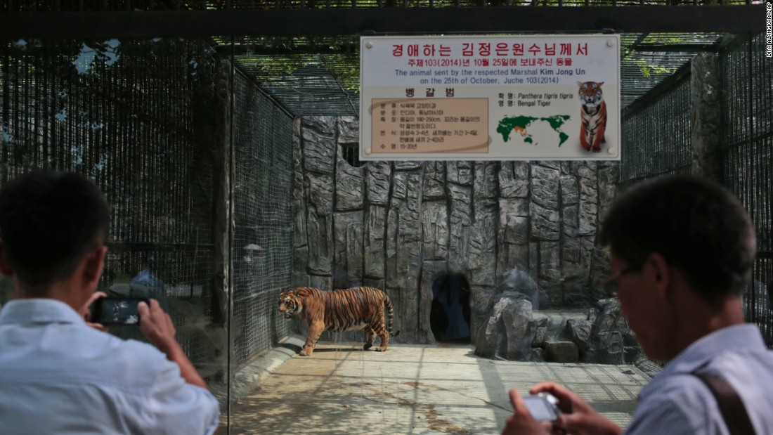 Melihat Lebih Dekat Kebun Binatang di Korea Utara