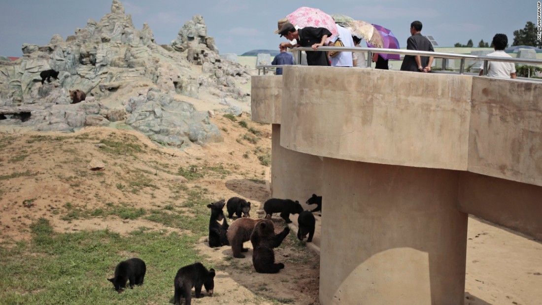 Melihat Lebih Dekat Kebun Binatang di Korea Utara