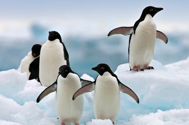 menjawab-flat-earth-101-mengungkap-kebohongan-propaganda-bumi-datar