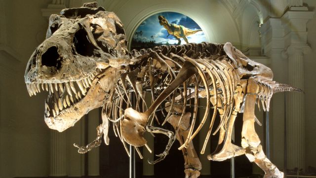 5 Temuan yang akan Mengubah Pandanganmu terhadap Bumi