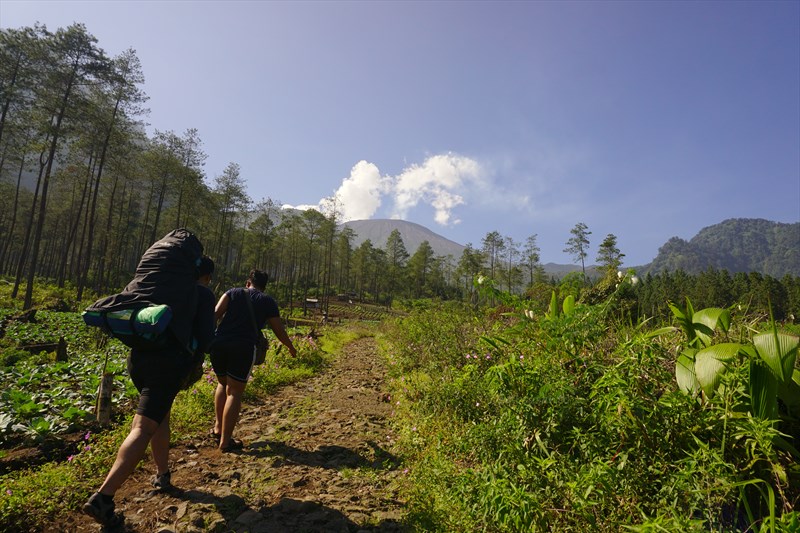 Ditegur Mahluk Halus Karena Tidak Izin Saat Kencing Di Gunung Sumbing