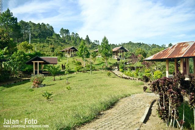 Landscape Maninjau dari Puncak Lawang Sumatera Barat