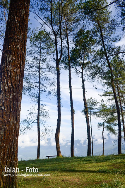 Landscape Maninjau dari Puncak Lawang Sumatera Barat