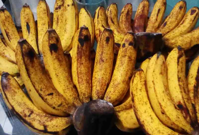 pisang-cavendish-buah-favorit-dengan-kulit-mulus-kompetisi-kgpt