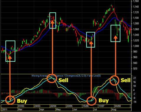 Welcome No Deposit Bonus $100 dari ForexChief