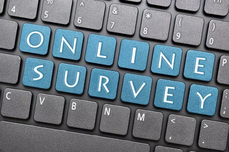 5 Penyedia Survey Online Berbayar Terbaik Versi Ane