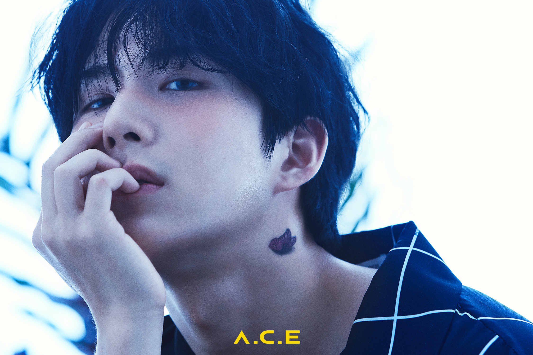 Wow 'A.C.E' Hentikan Aktivitas Karena Masalah Kesehatan