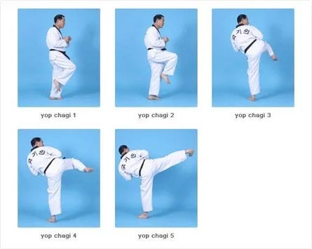 Jenis Tendangan Dasar Pada Taekwondo