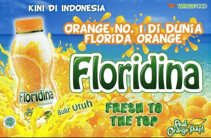 Contoh Iklan Penawaran Bergambar Keren-keren Untuk Marketing Produk