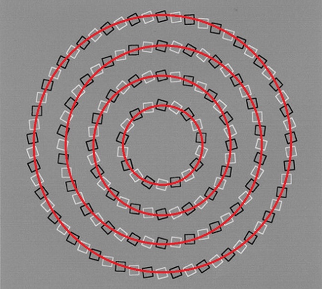 11 Optical Illusion yang membuat agan bertanya-tanya