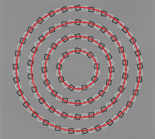 11 Optical Illusion yang membuat agan bertanya-tanya