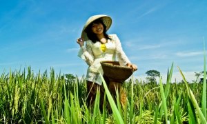 Indonesia, Tanah yang Seolah Tidak Mengizinkan Penduduknya Lapar