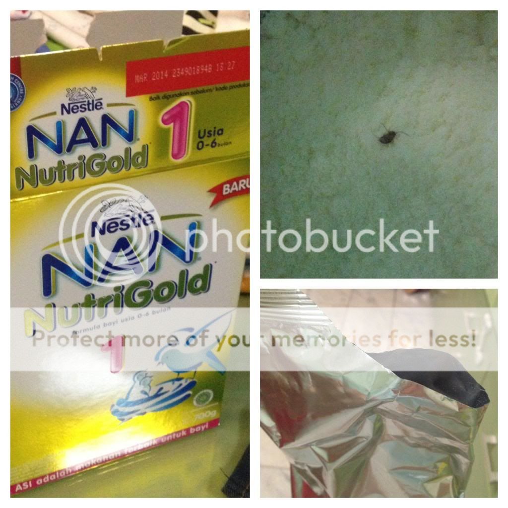 Serangga Dalam Kemasan Susu Bayi Nestle NAN NutriGold 1