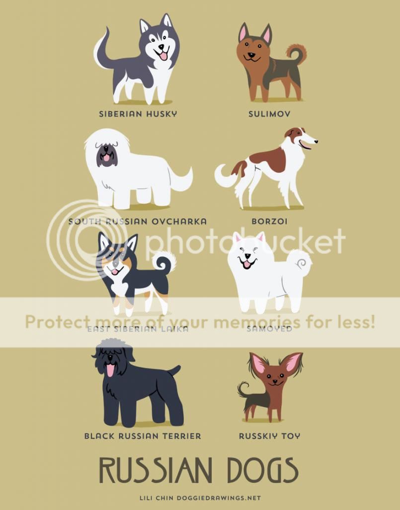 200 Jenis Ras Anjing di Dunia (Versi Kartun Lucu) - Dog Lovers Wajib Masuk!!!