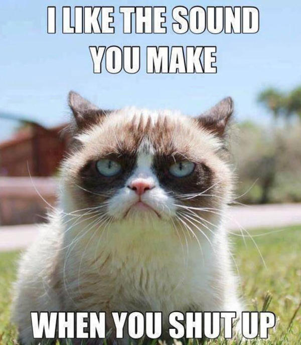 &#91;CAT LOVERS MASUK&#93; duh kelakuan kucing - kucing ini gemezin abizzzz gan wkwkwk 