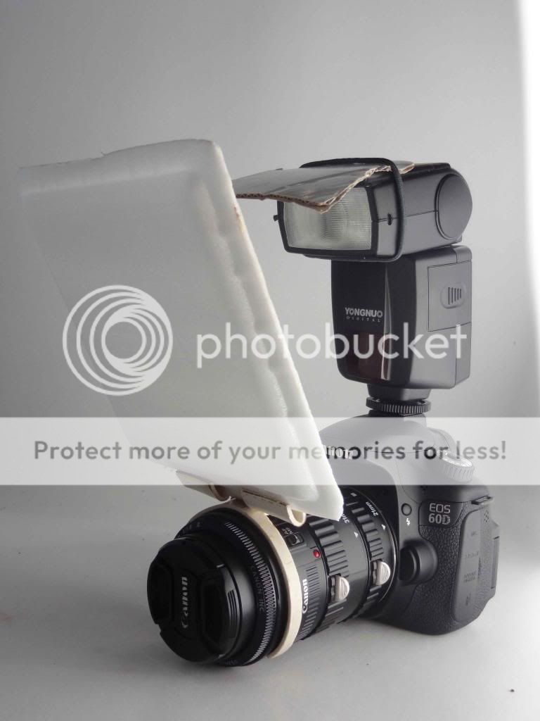 DIY Pop-Up Flash Diffuser buat Macro Photography