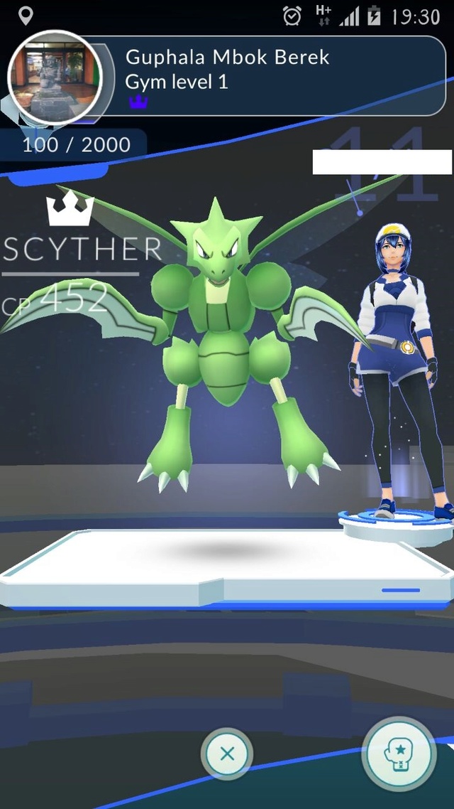 tunjukan-koleksi-pokemon-terbaik-mu