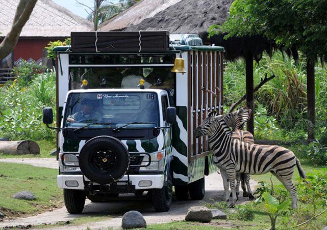 Bali Safari dan Marine Park | Taman Safari Bali