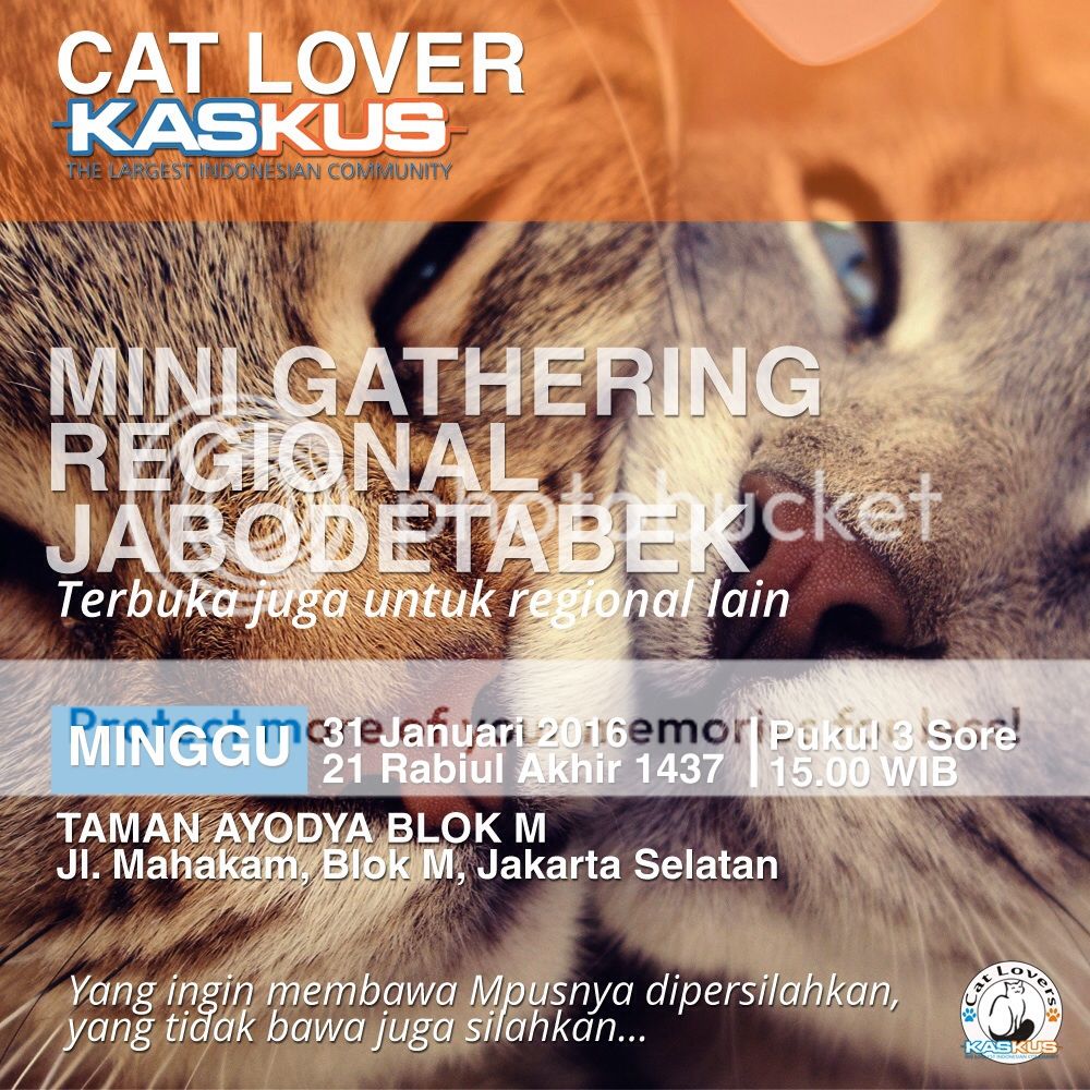 &#91;Gathering&#93; Cat Lovers Kaskus Januari 2016