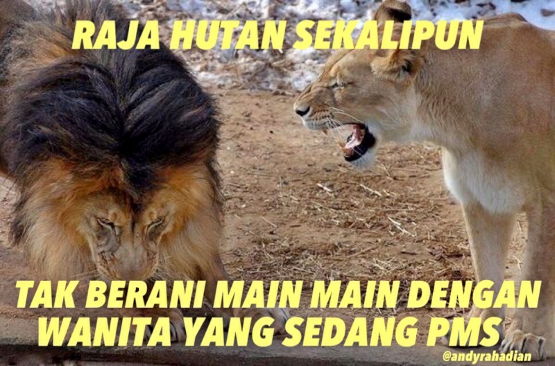 kaskus-image