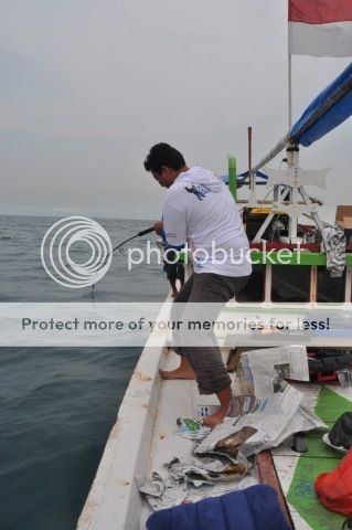 fishing-report-photo-kfc-n-video-kfc