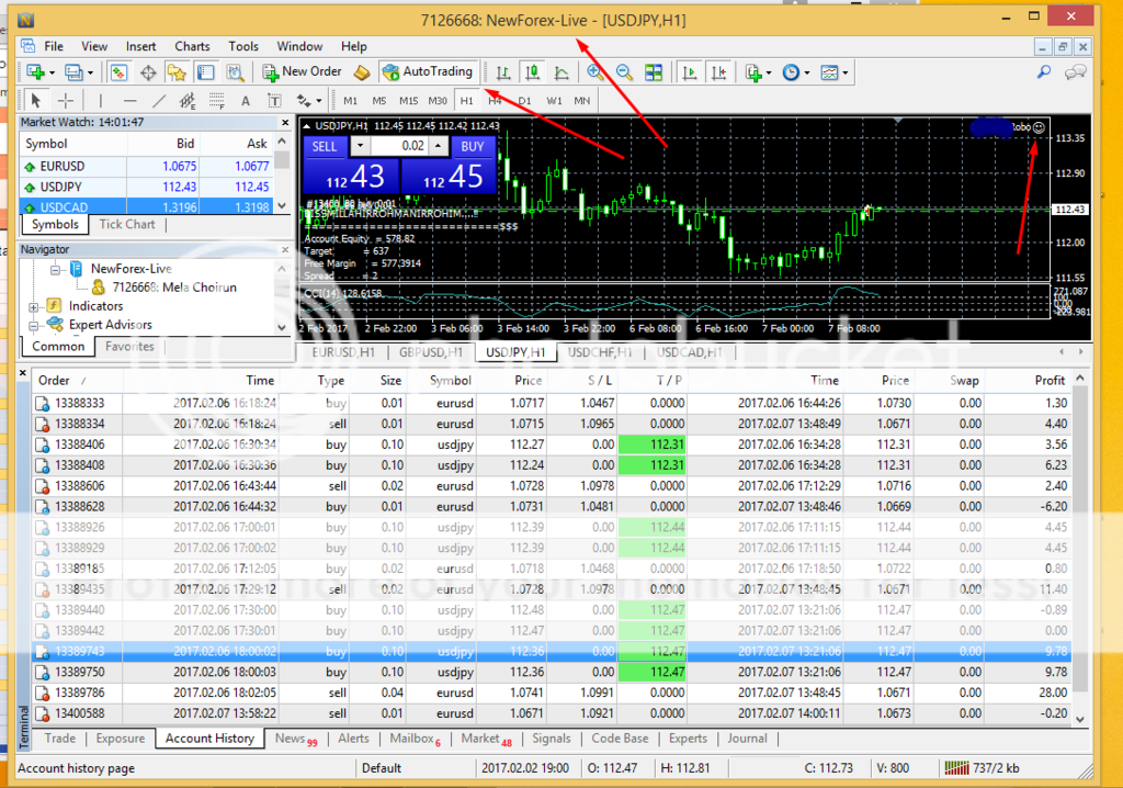 Newforex review of systems forex ea million dollar pips ex4