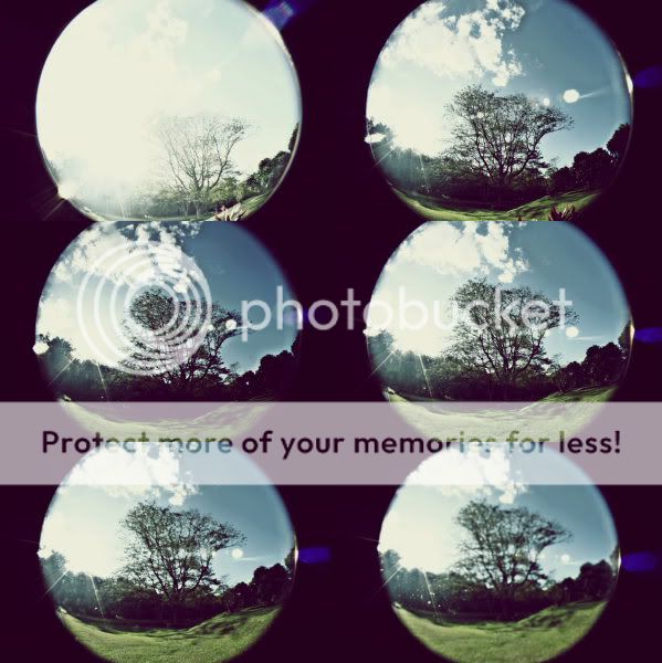 fish-eye-photograpy-discussion-n-gallery