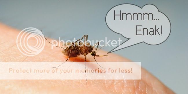 Mengenal jenis-jenis Nyamuk paling Berbahaya