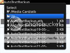 AutoTextBackup, 1st blackberry autotext backup