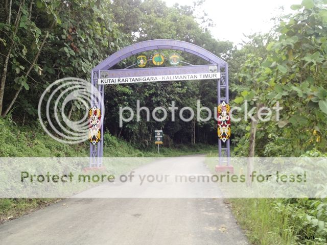 (Libur 01 Jan 2014) Bukit Bengkirai, Canopy Bridge Kalimantan Timur