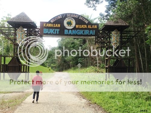 (Libur 01 Jan 2014) Bukit Bengkirai, Canopy Bridge Kalimantan Timur