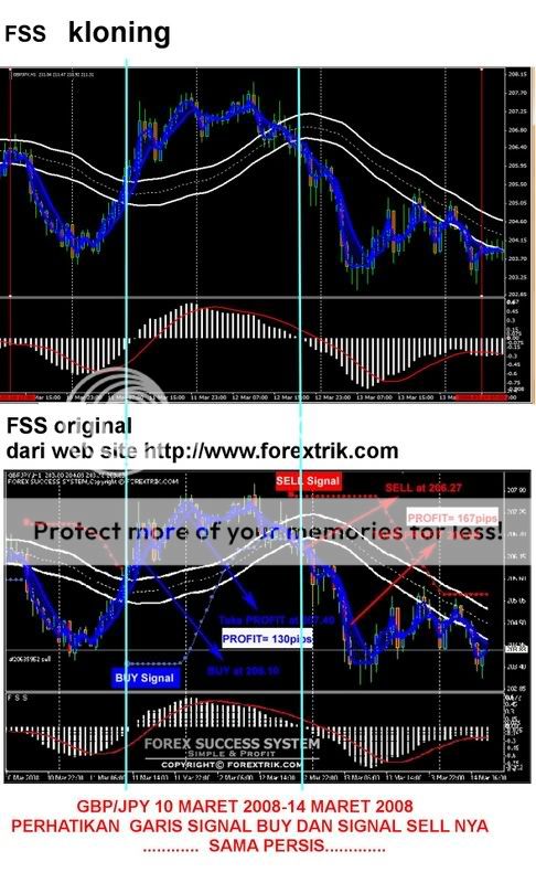 Rabid forex advisors forex high leverage strategy page