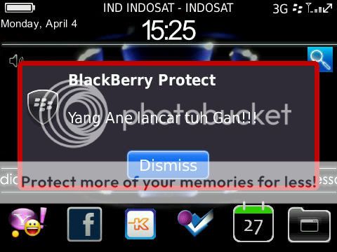 share-hot-blackberry-protect