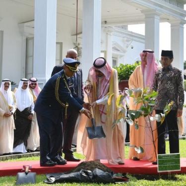 Antara kemewahan Raja Salman dan kebersahajaan Presiden Jokowi