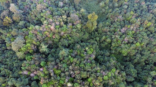 Orang Rimba masuk Islam demi KTP: 'Kini mereka mengenal Tuhan' kata Menteri Khofifah