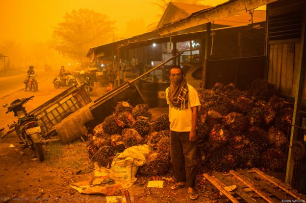 &#91;KALTENG&#93; Kehancuran, kesedihan, dan harapan: foto-foto kabut asap yang menggugah