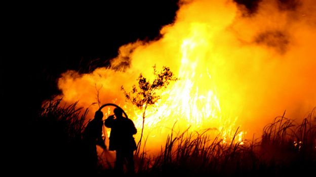mengenang-kabar-gugatan-7tkebakaran-hutan-indonesia--tak-akan-minta-maaf