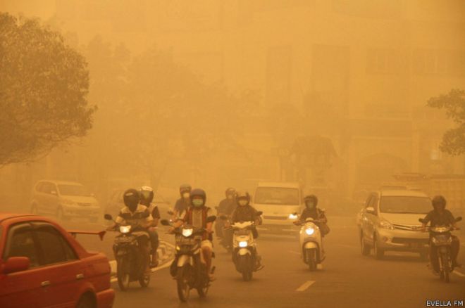 &#91;WHAT?&#93; Ada korupsi di balik kabut asap Indonesia