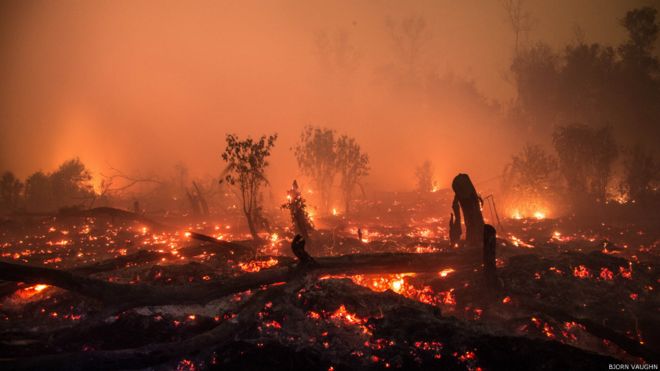 &#91;KALTENG&#93; Kehancuran, kesedihan, dan harapan: foto-foto kabut asap yang menggugah
