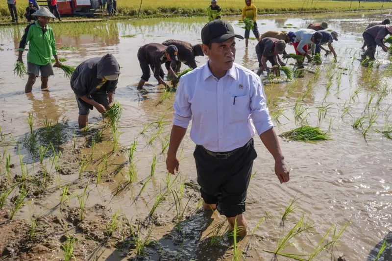 Militer dilibatkan Food Estate di Merauke, masyarakat adat &#039;ketakutan