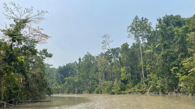 Demi PON Papua , bantuan perbaikan gizi 'Anak Asli Papua' dihapus